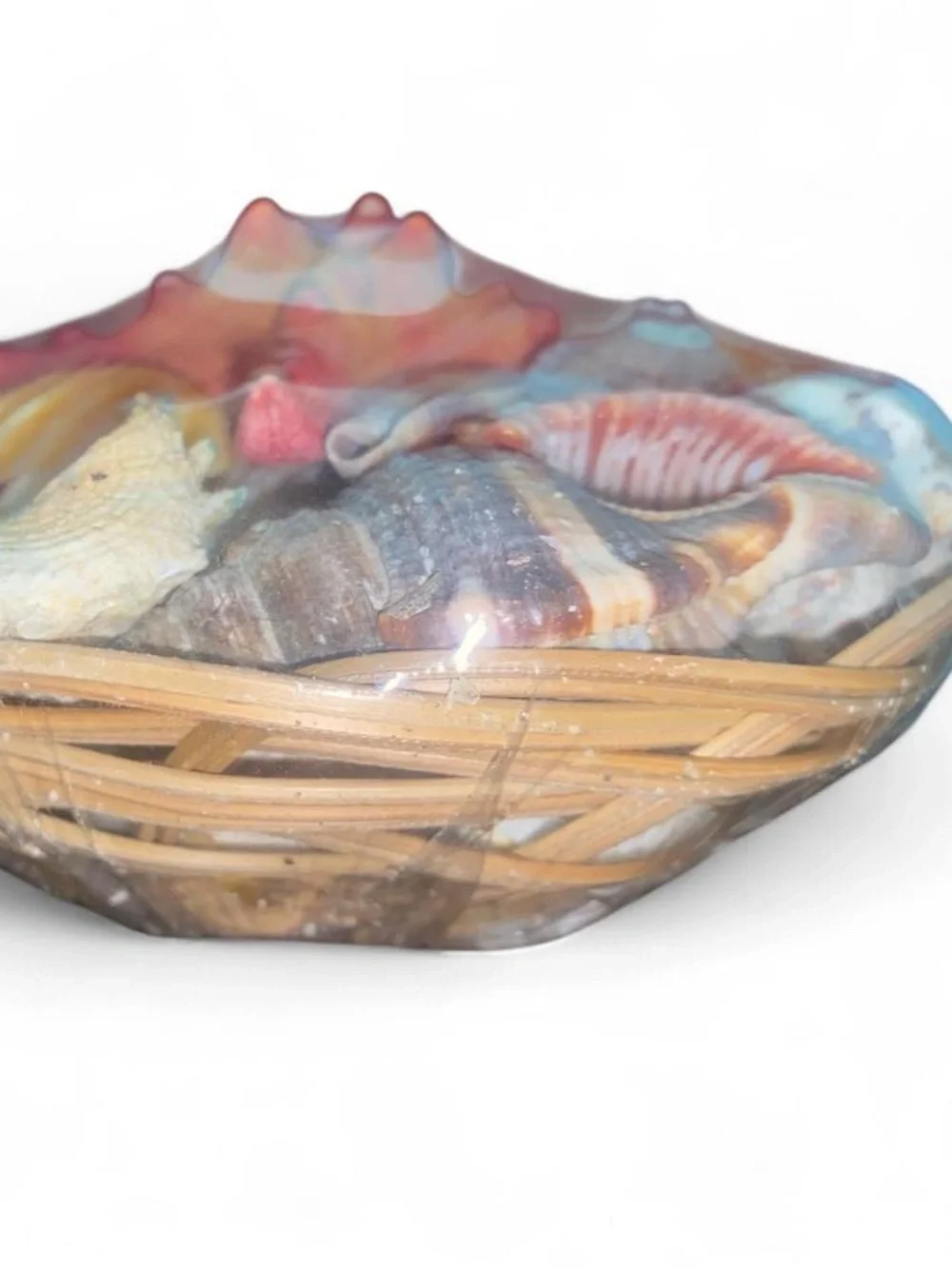 Collectible seashell basket